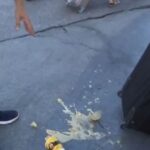 «Ζημιάρης» ο Γιώργος Τσελίκας, στο λιμάνι του Πειραιά (vid)