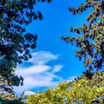 Aίθριος ο καιρός την Κυριακή – Η πρόγνωση για τη Θεσσαλονίκη (vid)