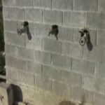 Ημαθία: Καταγγελία κτηνοτρόφου για μολυσμένο νερό (vid)