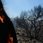 Φωτιά στη Δράμα – Άμεση κινητοποίηση της πυροσβεστικής