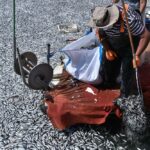 Βόλος: Πλέγμα ανάσχεσης νεκρών ψαριών στο λιμάνι – Φόβοι για πλημμύρες σε εκτάσεις (vid)