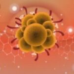 Ξεκαθαρίζει ο ΠΟΥ για τη mpox: “Δεν είναι η νέα covid”