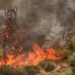 Υψηλός κίνδυνος πυρκαγιάς σήμερα στη Χαλκιδική και το Άγιον Όρος