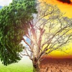 Κλιματική κρίση: Ξηρασία, πυρκαγιές και πλημμύρες πλήττουν πολλές χώρες (vid)