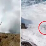 Βίντεο-σοκ με τεράστιο κύμα να… καταπίνει τουρίστα! (vid)