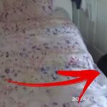 Κλέφτης βρήκε καταφύγιο… κάτω από κρεβάτι! (vid)