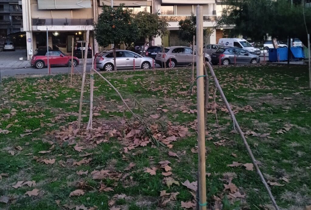Θεσσαλονίκη: Έσπασαν τα νέα δέντρα που φυτεύτηκαν στη Νέα Παραλία (pics)