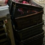 Εντοπίστηκαν 20 τόνοι σάπιου κρέατος στον Πειραιά – Ήταν έτοιμα να διοχετευτούν στην αγορά (vid)