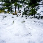 ΕΜΥ: Έκτακτο δελτίο επιδείνωσης καιρού – Καταιγίδες και χιονοπτώσεις ως την Τρίτη