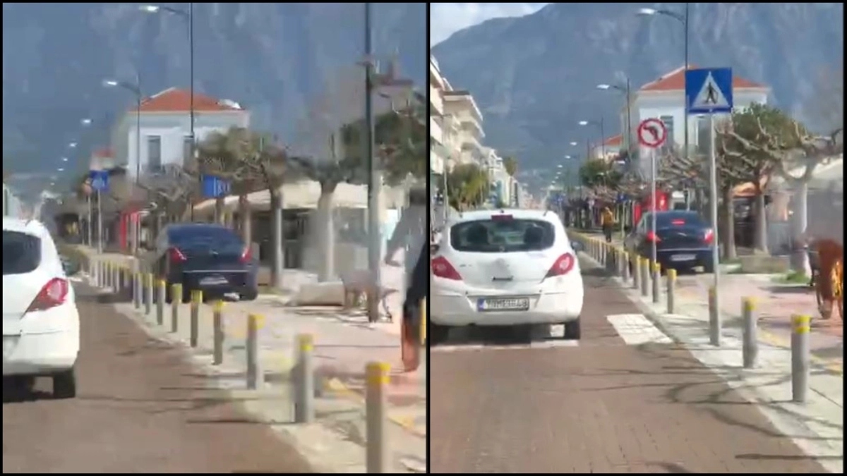 Απίστευτος οδηγός… άνετος σε ποδηλατόδρομο