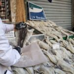 Αρκετά… αλμυρή και φέτος η τιμή του μπακαλιάρου (vid)