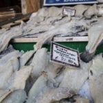 O μπακαλιάρος… τσιμπάει (vid)