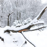 Η μίνι κακοκαιρία… έντυσε στα λευκά τον Χορτιάτη (vid)