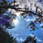 Η θερμοκρασία ανεβαίνει… και πέφτει!