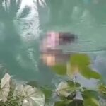 Σκληρές εικόνες στην Ινδονησία με κροκόδειλο που κατασπάραξε γυναίκα!