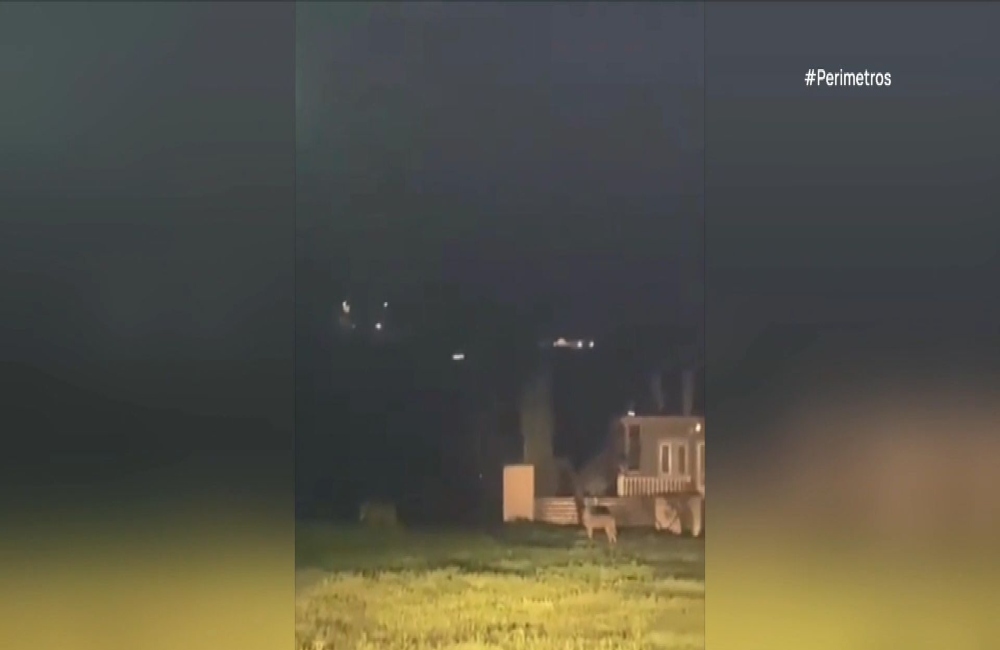 Λύκοι εμφανίστηκαν στα Κουφάλια!