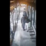 Βίντεο της συμμορίας που έκλεβε αλυσίδες από επιβάτες μέσων μαζικής μεταφοράς (vid)