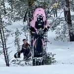 Μία… κωμική σύγκρουση στη Φινλανδία (vid)