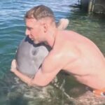 Ένα δελφίνι στην Κούβα έκανε… την πιο ζεστή αγκαλιά (vid)