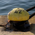 Τα ακτοπλοϊκά στον… Θεό και οι Έλληνες στο εξωτερικό