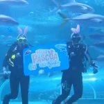 Πασχαλινά αυγά… σε ενυδρείο! (vid)