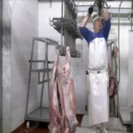 Ευλογιά αιγοπροβάτων: Αυστηρή τήρηση των οδηγιών – Κρίσιμη η κατάσταση (vid)