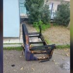 Αλιγάτορας έσπειρε τον τρόπο σε γήπεδο γκολφ!