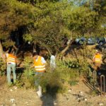 Μέχρι αύριο οι αιτήσεις για τον καθαρισμό των οικοπέδων – Όσα πρέπει να γνωρίζετε