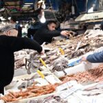 Ακρίβεια: «Καλπάζει» η τιμή των φρέσκων ψαριών (vid)