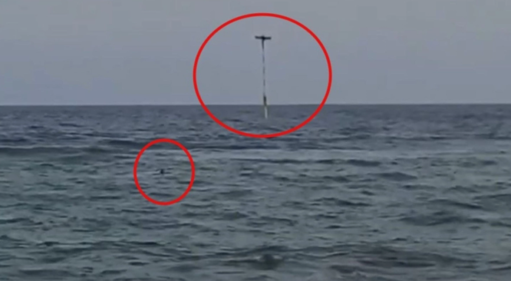 Ψαράς σώζει με drone νεαρό κορίτσι από βέβαιο πνιγμό! (vid)