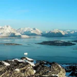 Τέσσερις μαύροι σαρκοφάγοι στην Ανταρκτική… προκαλούν ανησυχία!