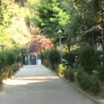 Χαλκιδική: H ακρίβεια στέλνει τον κόσμο στα κάμπινγκ (vid)