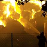 Κιλκίς: Έσβησε η φωτιά σε κτηνοτροφική μονάδα – Κάηκαν ζώα (vid)