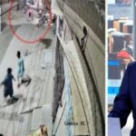 Λιοντάρι κατοικίδιο στο Πακιστάν βγήκε “για κυνήγι” στον δρόμο (vid)