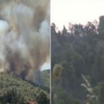 Βουρβουρού Χαλκιδικής: Έρευνες για ενδεχόμενο εμπρησμού (vid)