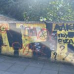 Εμετός για τους ανεγκέφαλους