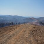 Εύβοια: 6 ανήλικοι… στο μικροσκόπιο των αρχών για τις πυρκαγιές