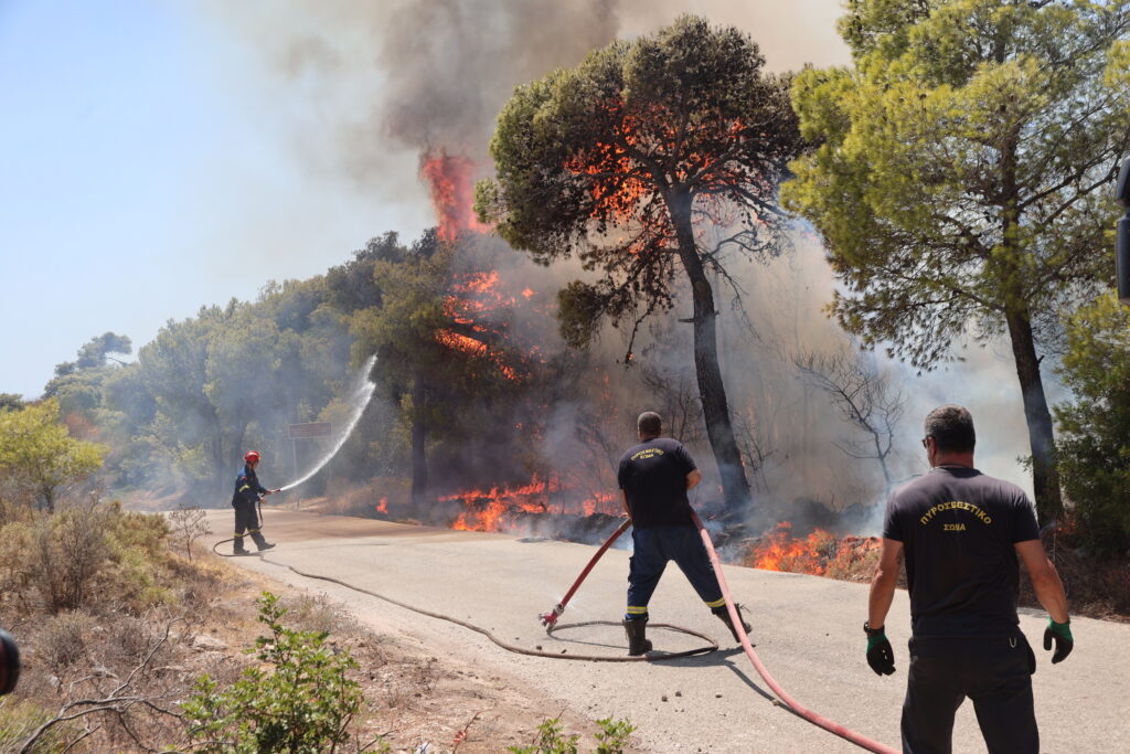 Μάχη με τις φλόγες στην Αλβανία- Κοντά στα ελληνικά σύνορα η φωτιά (vid)