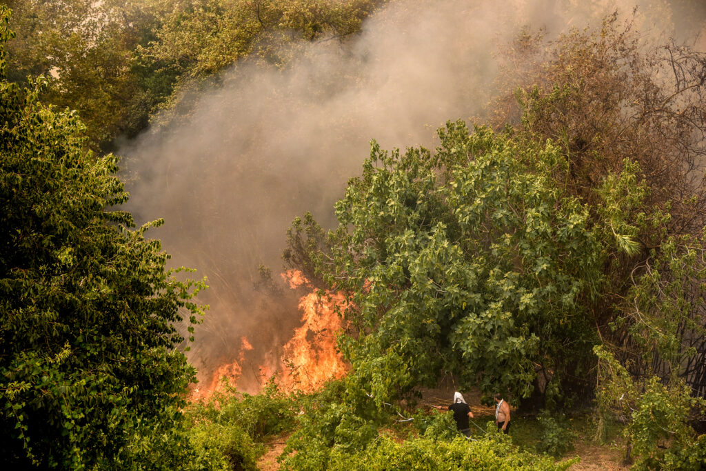 Τα μέτρα στήριξης των πυρόπληκτων (vid)