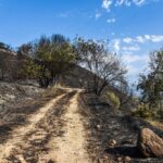 Θεσσαλονίκη: Συνελήφθη μελισσοκόμος για την φωτιά στον Χορτιάτη