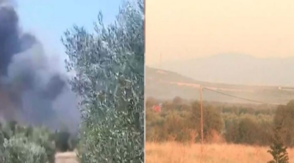 Πυρκαγιά στη Βόλβη Θεσσαλονίκης: Απειλήθηκαν σπίτια (vid)