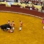 Πορτογαλία: Ο ταύρος «κέρδισε» την ταυρομαχία και σκότωσε 22χρονο (pics)