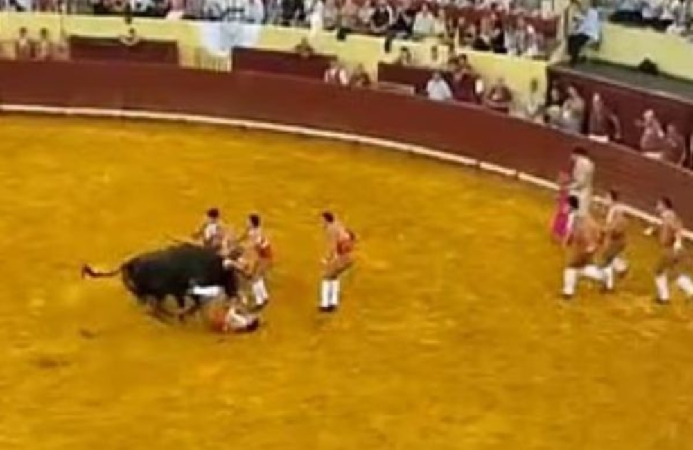 Πορτογαλία: Ο ταύρος «κέρδισε» την ταυρομαχία και σκότωσε 22χρονο (pics)