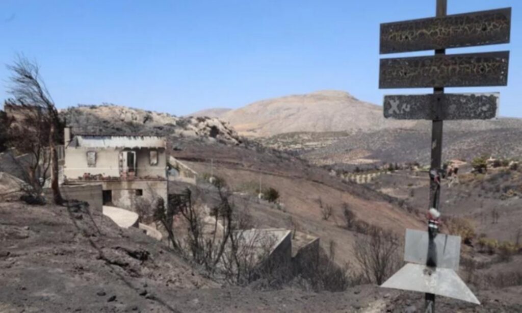 Κερατέα: H αναλυτική λίστα των εκτάσεων που κάηκαν από τη φωτιά