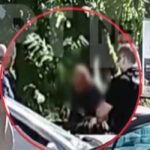 Γυναικοκτονία στον Βόλο: Η στιγμή που ο 40χρονος συλλαμβάνεται από τους αστυνομικούς (vid)