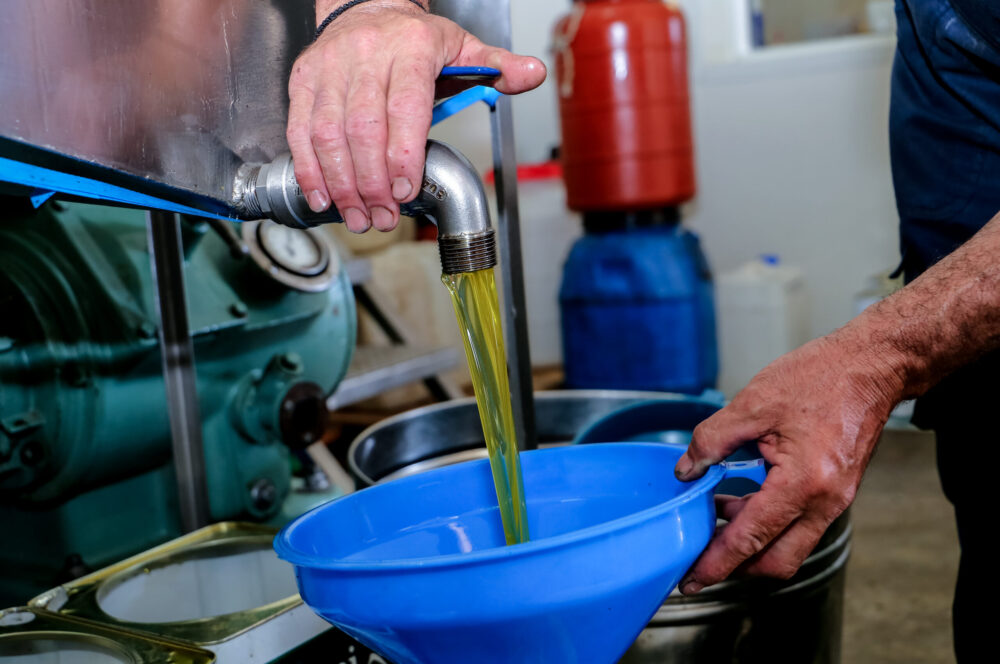 Μείωση παραγωγής στο λάδι λόγω ξηρασίας και δάκου (vid)