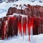 Αποκαλύφθηκε το μυστήριο του κόκκινου καταρράκτη της Ανταρκτικής