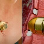 Ο δολοφόνος του Τζον Λένον «έφαγε» πάλι άκυρο (vid)