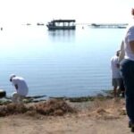 Θεσσαλονίκη: Εθελοντικός καθαρισμός της παραλίας στον Δήμο Δέλτα (vid)