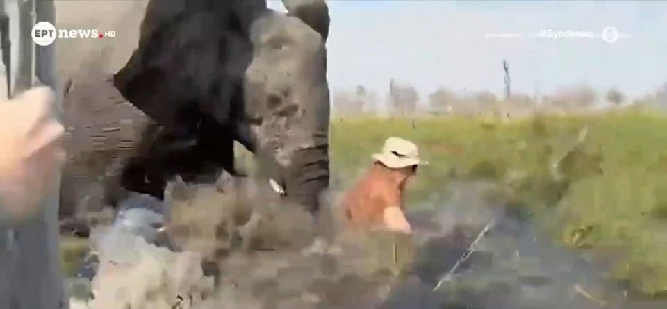 Απίστευτο: Ελέφαντας επιτέθηκε σε κανό με τουρίστες! (vid)